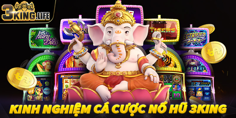 Bật mí kinh nghiệm cá cược nổ hũ 3King dành cho người chơi mới tham gia